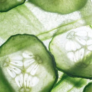 Nordic Melt AHA Scrub