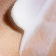 Ceramide Revival Night